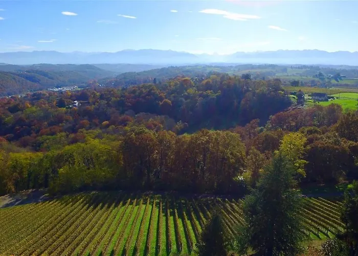 Chateau Perpignaa Lejlighed *